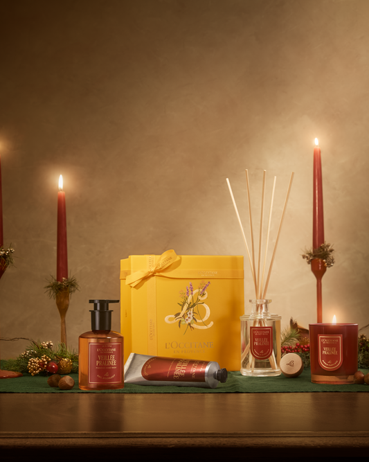 Veillée Pralinée Diffuser