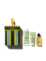 Almond Ornament - Illustration 5
