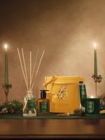 Nuit en Pinède Foaming Hand Wash - Illustration 2